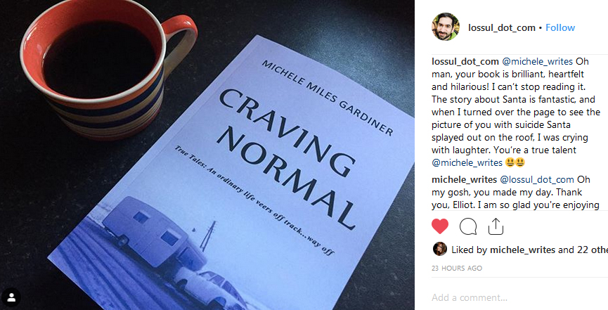 Review of Craving Normal by Michele Miles Garding
